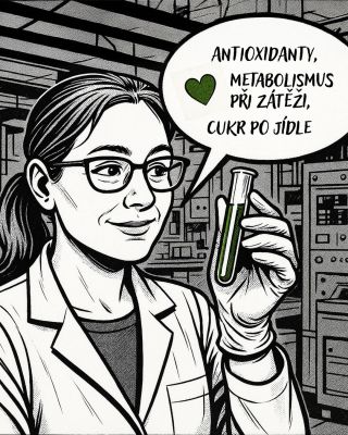 🍃 Matcha & výzkum: co potvrzují studie? Článek „Matcha a výzkum: férový průvodce fakty“ shrnuje zajímavé poznatky o tom,...